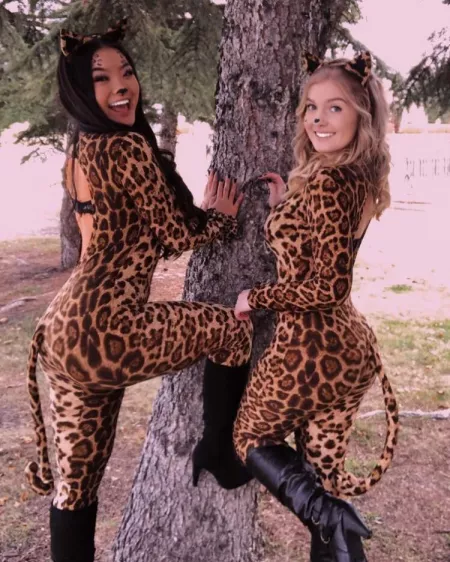 Which pussy Which pussy