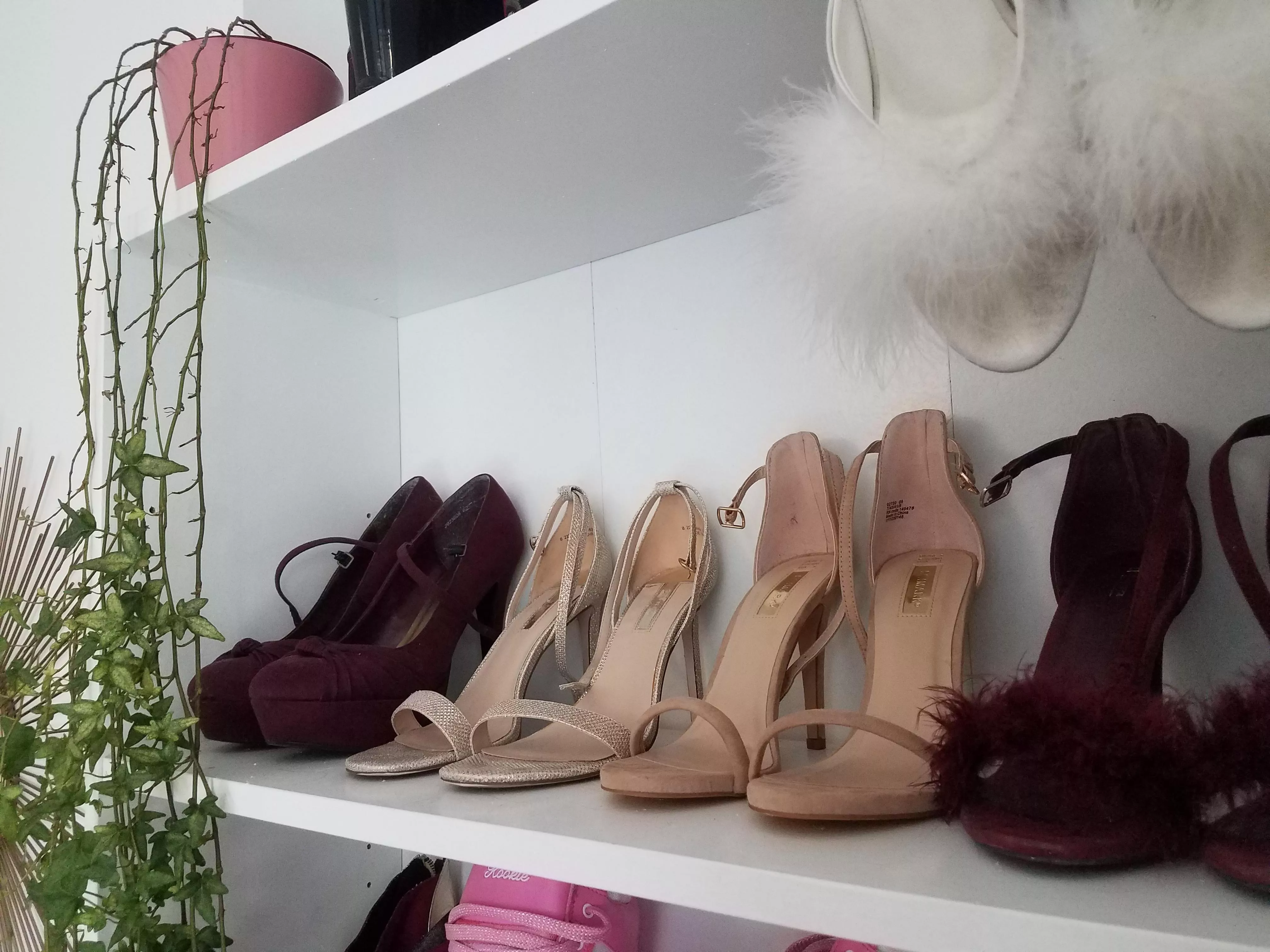 Which should I wear? Which should I wear?