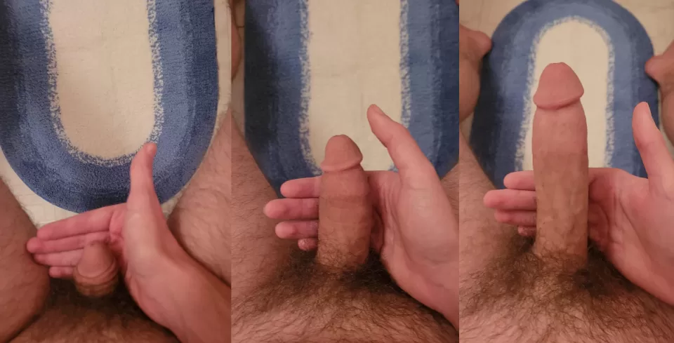 Which size do you prefer? Which size do you prefer?