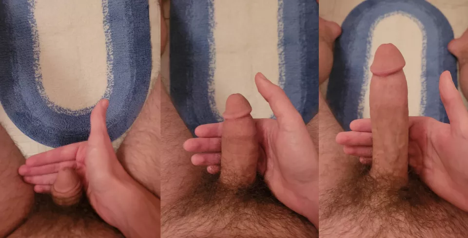 Which size do you prefer? Which size do you prefer?