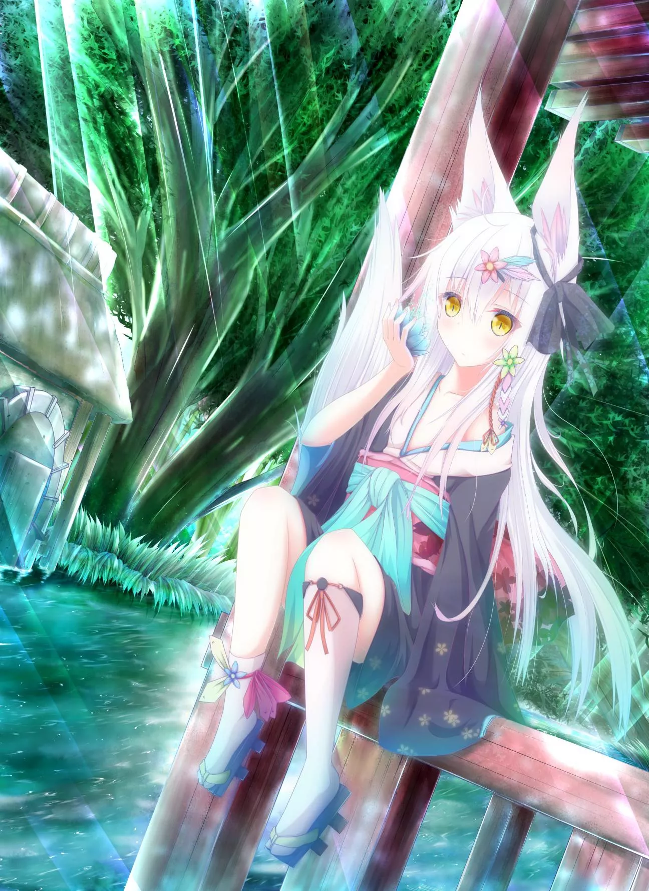 White fox White fox
