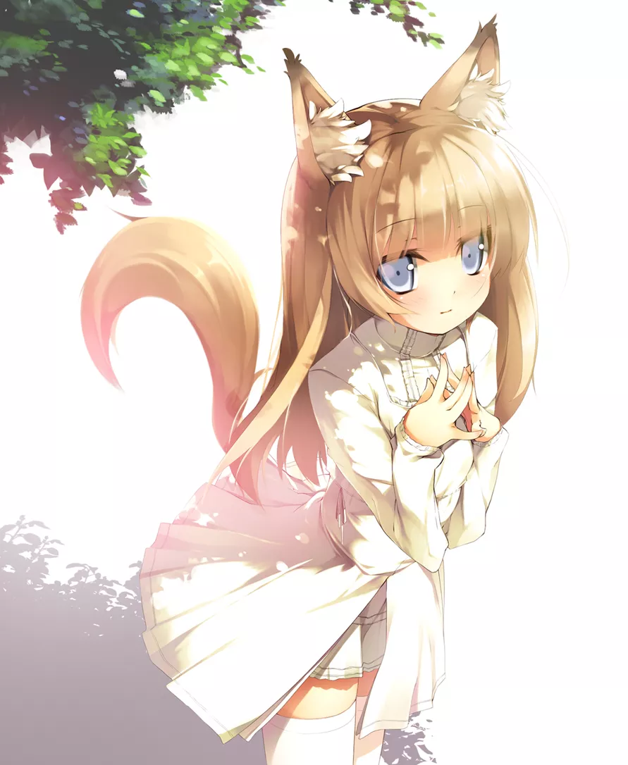 White fox White fox