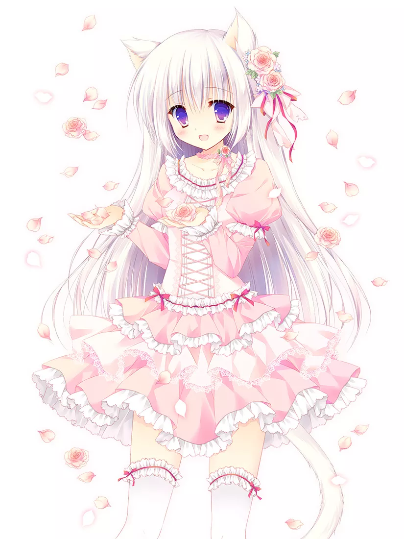 White Roses White Roses