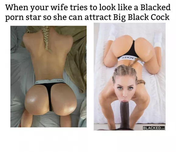 White wives trying so hard to attract BBC these days White wives trying so hard to attract BBC these days