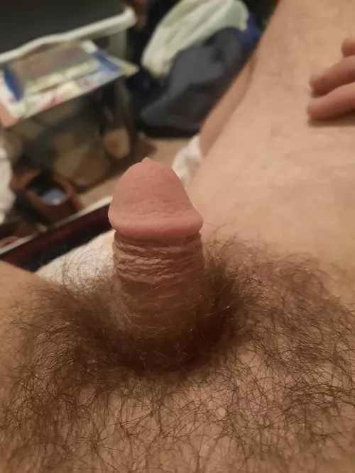 Who can help me get this cock hard