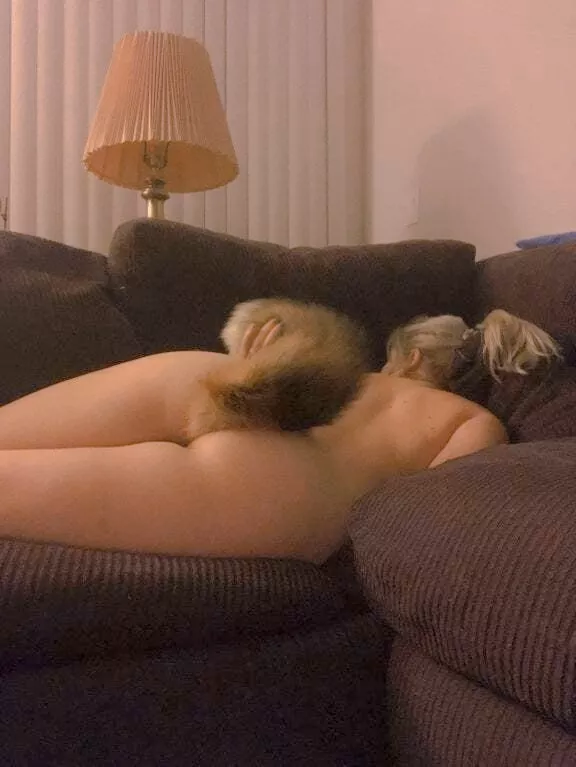 who guesses the size of my foxtail plug my kk assimth who guesses the size of my foxtail plug my kk assimth