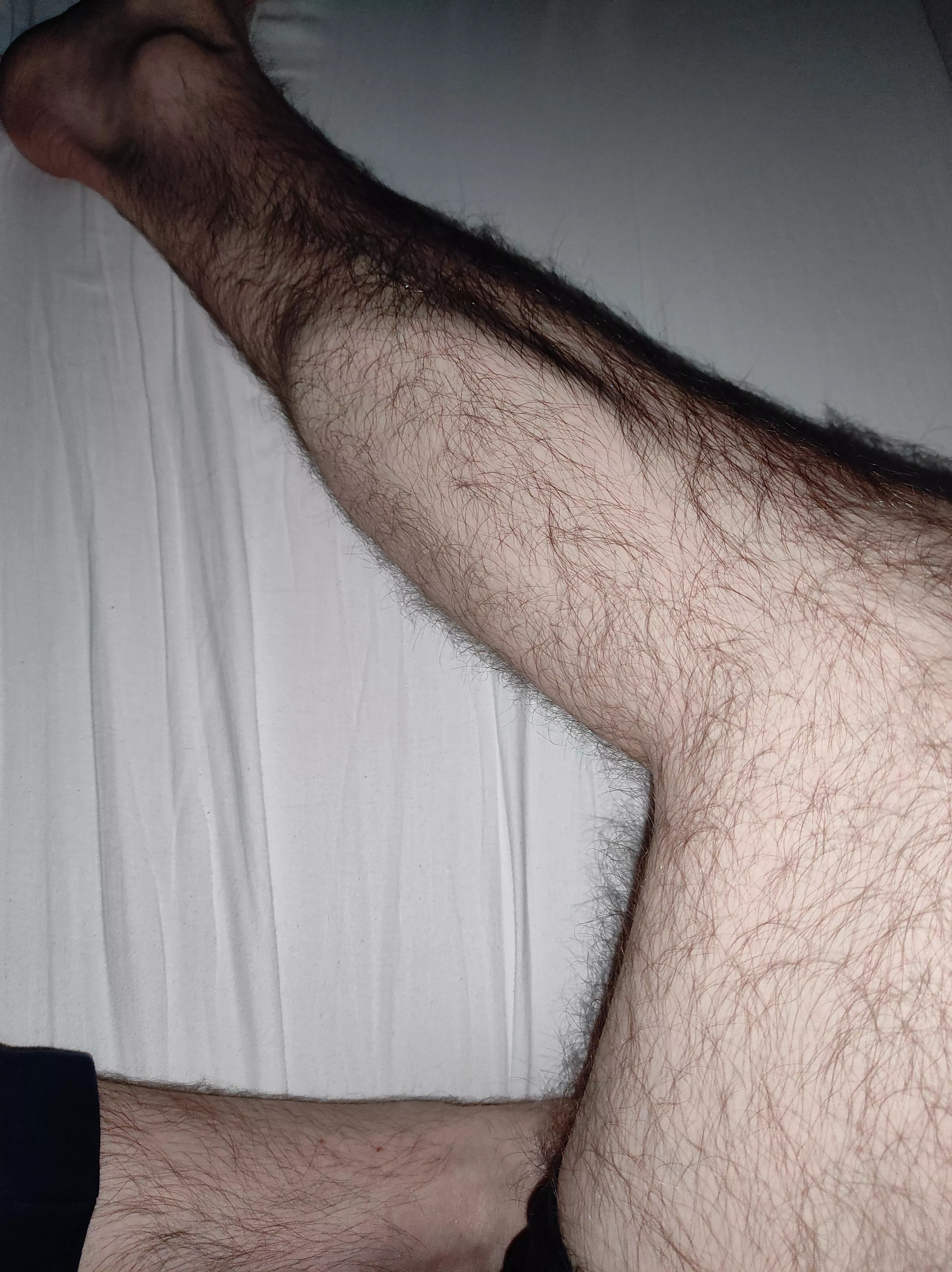 Who here likes hairy calves? Who here likes hairy calves?