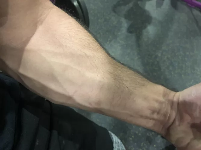 Who here likes vascular forearms? 😼 Who here likes vascular forearms? 😼