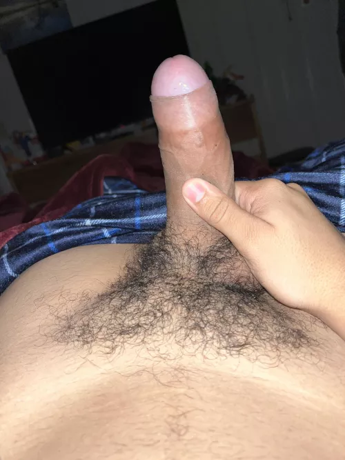 who like my uncut cock