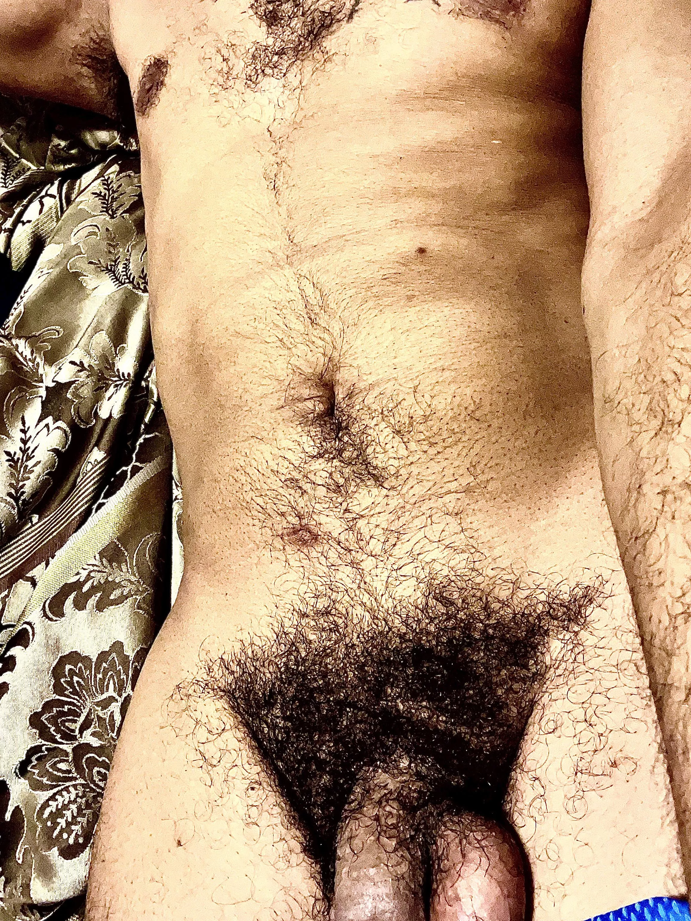 Who likes a nice bush? Who likes a nice bush?