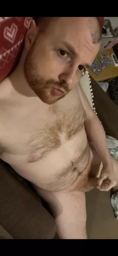 Who likes ginger?