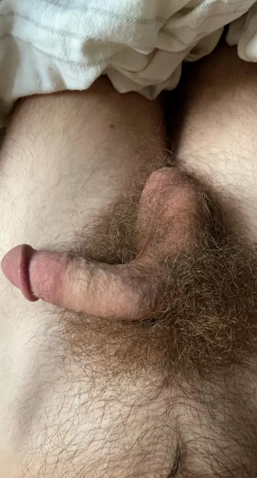 Who likes hairy balls? Who likes hairy balls?