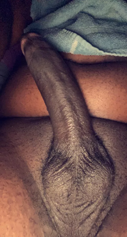 Who likes it? [M]