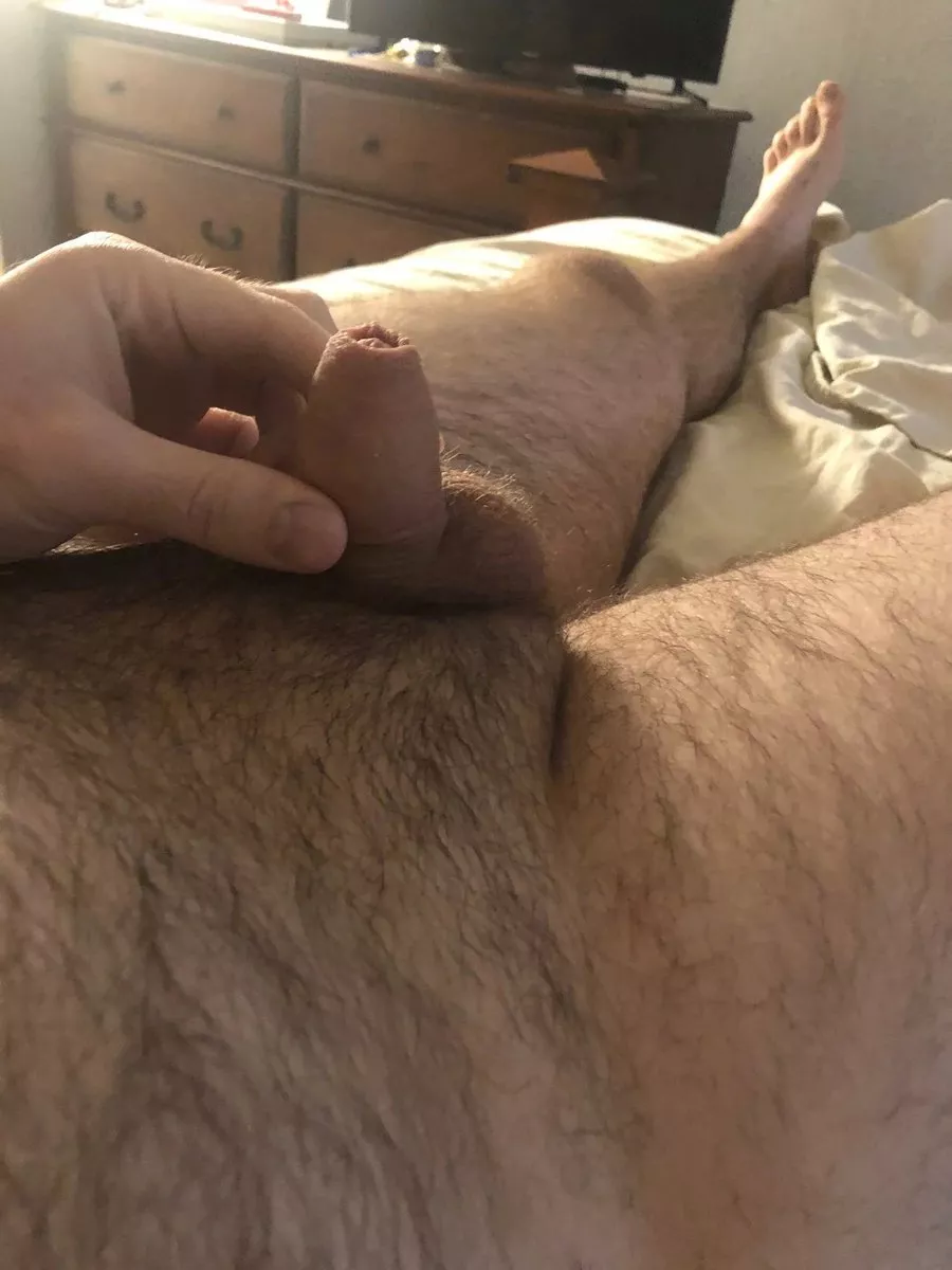 Who likes my semi? Who likes my semi?