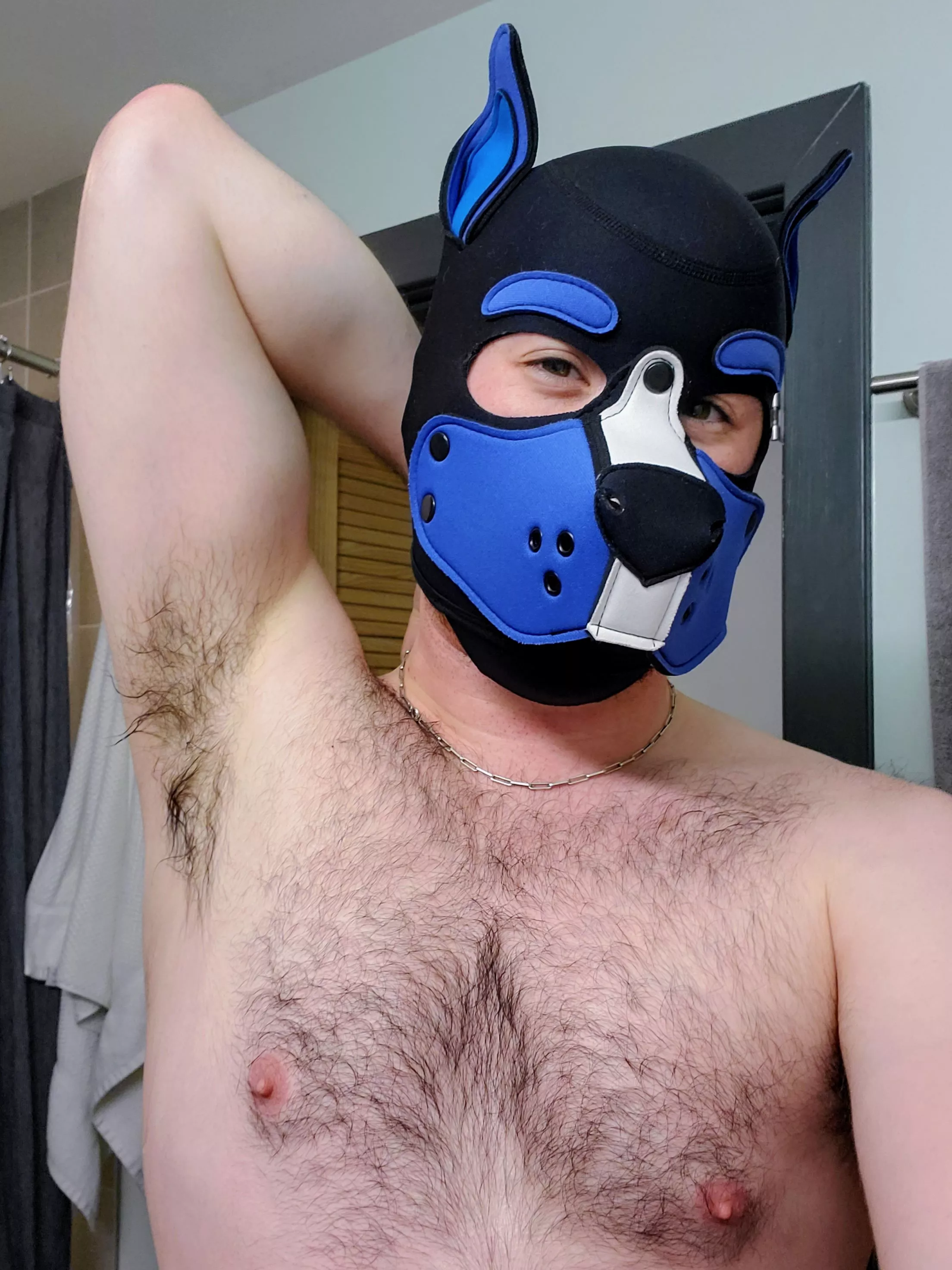 Who needs a place to bury their snout?