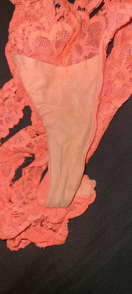 Who wanna trade milf panties wife's etc???