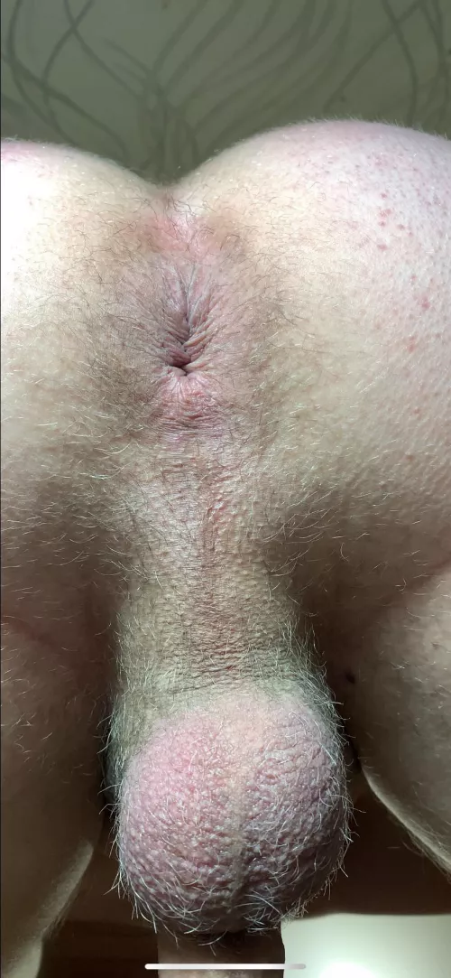 Who want my ass