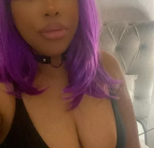 Who wants this Kitty?