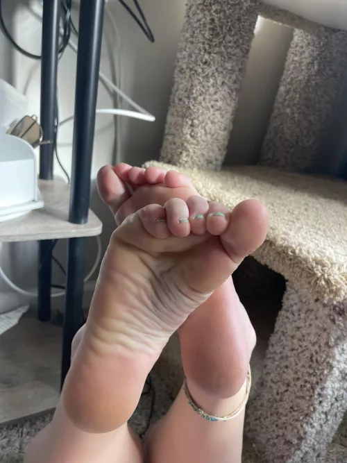 Who wants to be owned