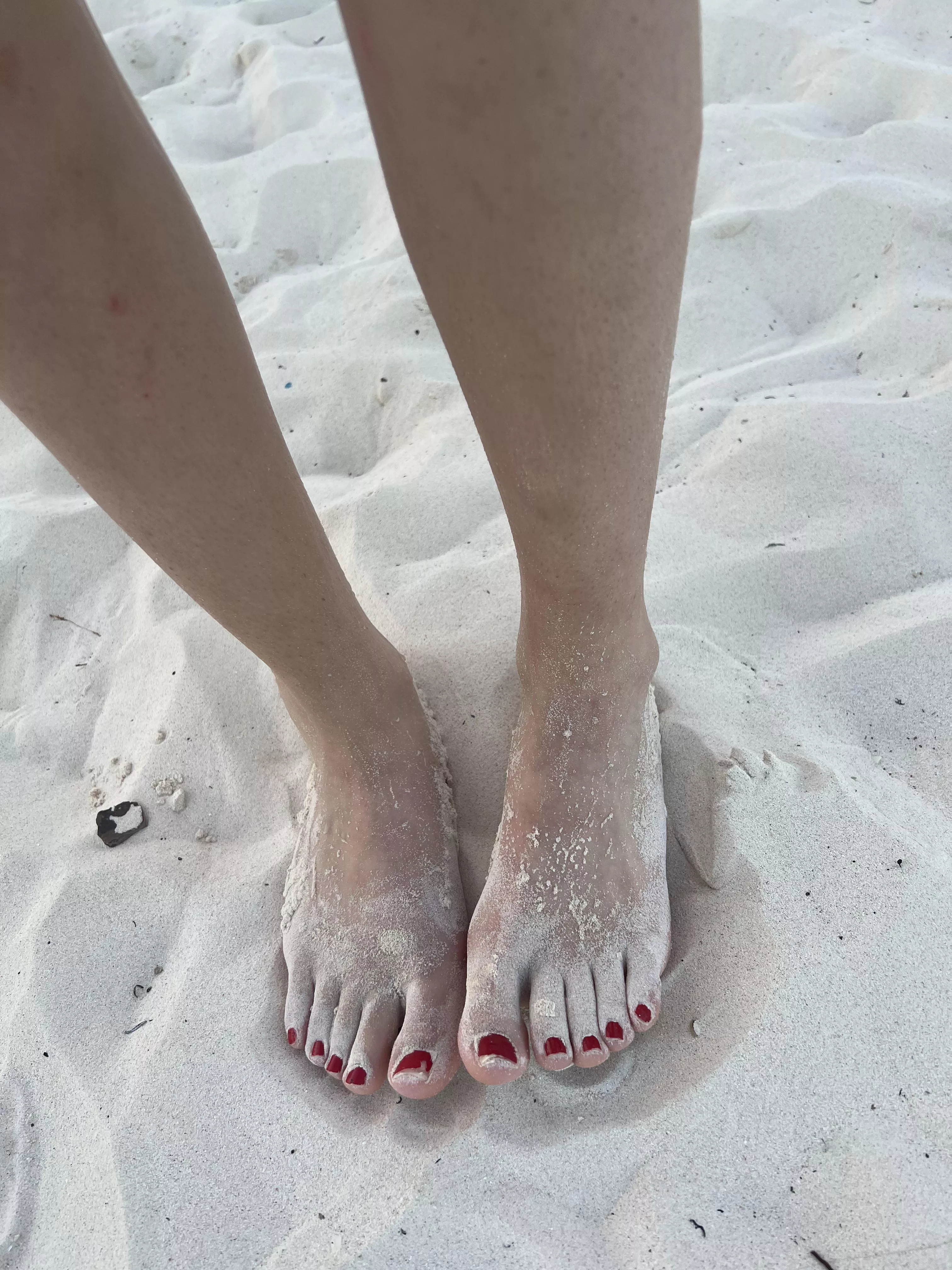 Who wants to eat my sandy feet? 🐶