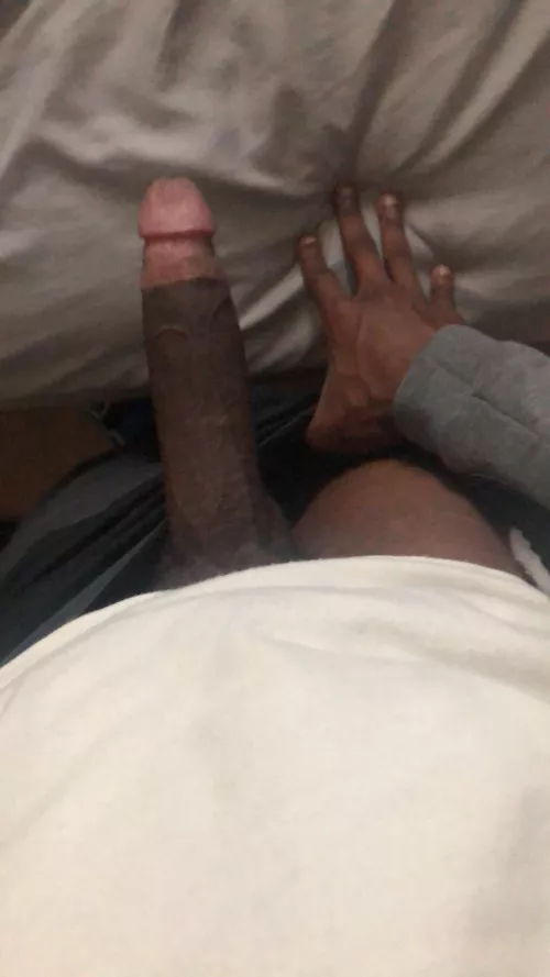 Who wants to help my morning wood ?