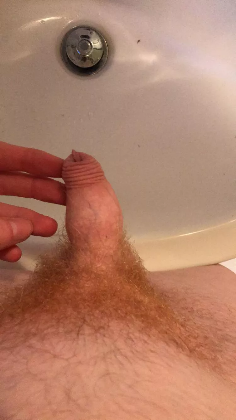 who wants to humiliate me? who wants to humiliate me?