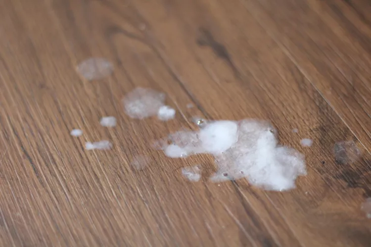 Who wants to join Me ? I’ve been getting really active 👀💦