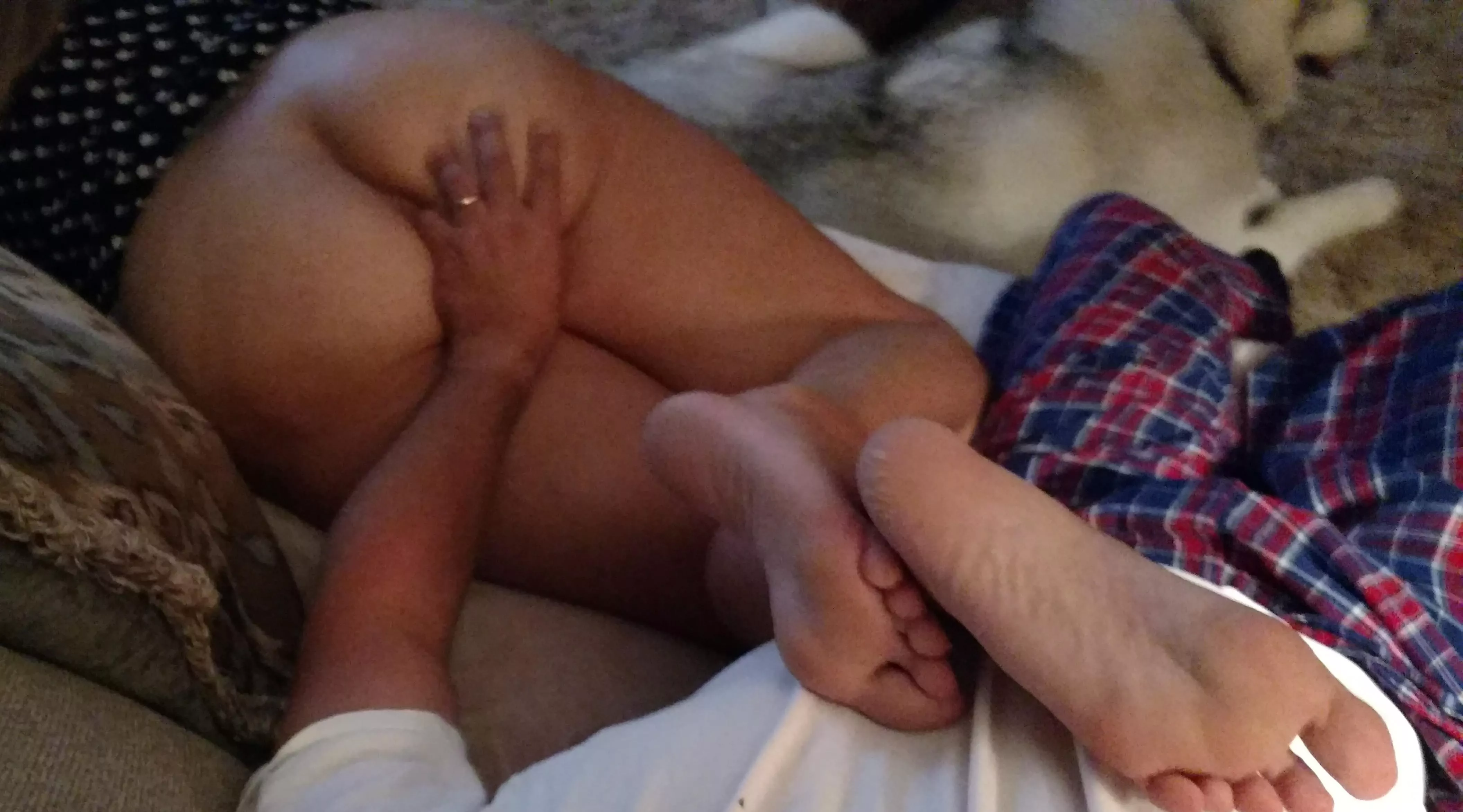 Who wants to lick and suck my toes and soles and put thier tongue where my husbands finger is? Who wants to lick and suck my toes and soles and put thier tongue where my husbands finger is?