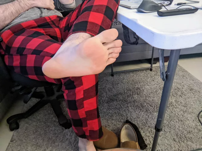 Who wants to lick em while I'm on the computer?