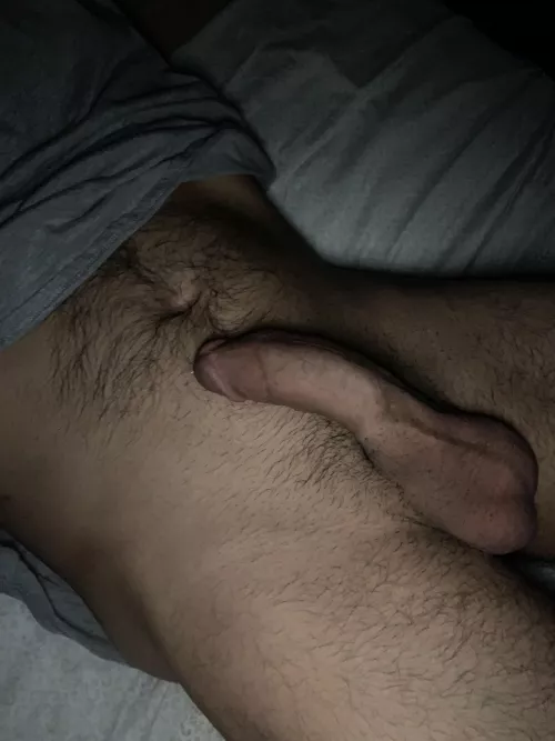 Who wants to lick my balls? Who wants to lick my balls?