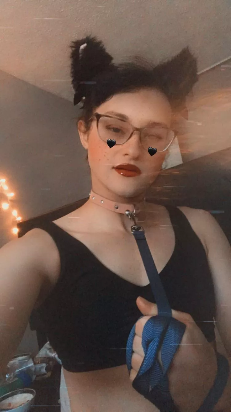 Who wants to play with this kitty *Meow* 😺