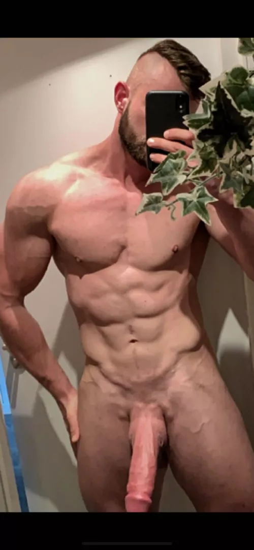 Who wants to ride me?