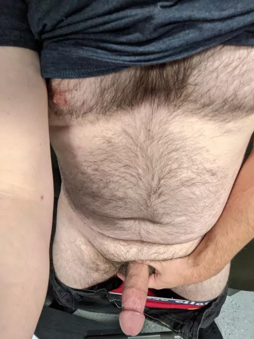 Who wants to ride shotgun on my long drive today? Who wants to ride shotgun on my long drive today?