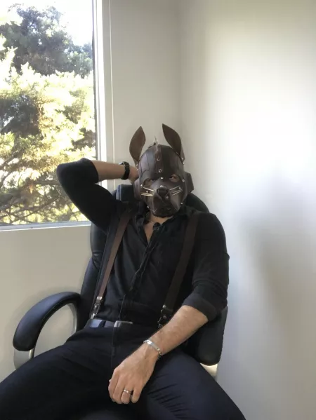 Who wants to ride this dog? ๐ฅ Who wants to ride this dog? ๐ฅ