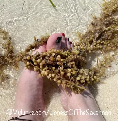 Who wants to see my feet play in the water on the beach? ๐โ๏ธ๐ DM me! ๐