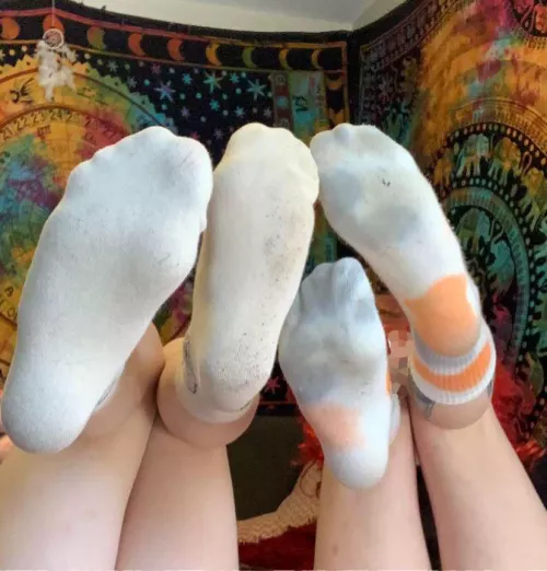 who wants to smell our stinky toes who wants to smell our stinky toes