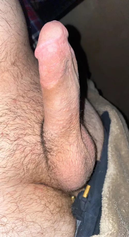 who wants to suck it hard? dms are open