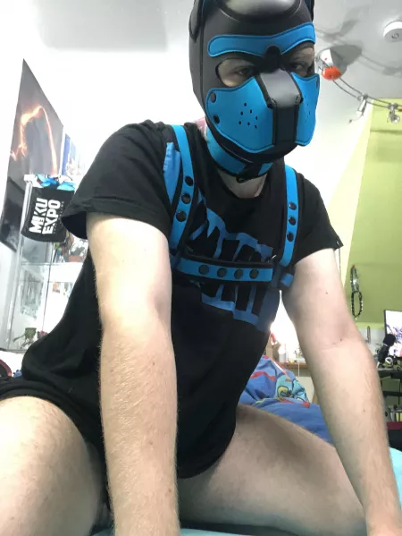 WHO wants to take care of me WHO wants to take care of me