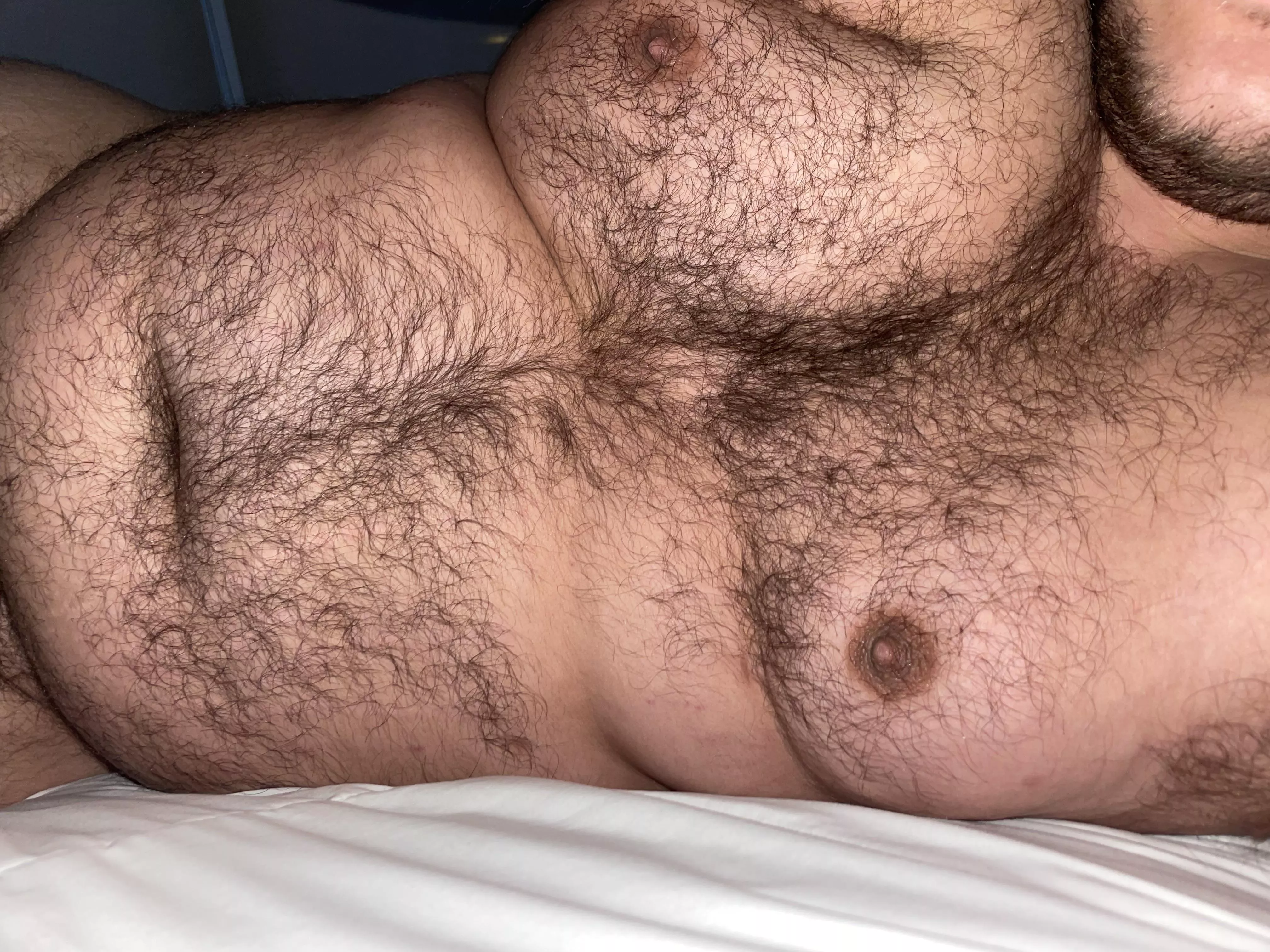 Who wants to touch my chest hair? Who wants to touch my chest hair?