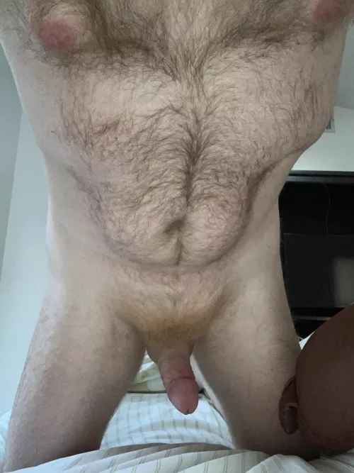 Who would like a fuzzy orange blanket on top of them?