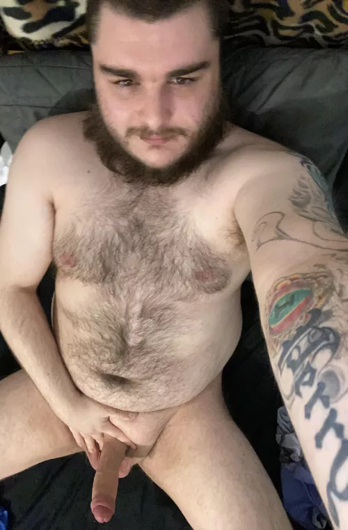 Who would like to come take a ride on a big hairy virgin?