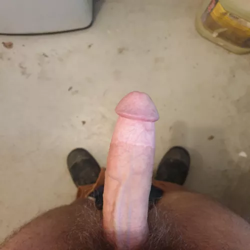 Who would suck my cock while I'm at work ?