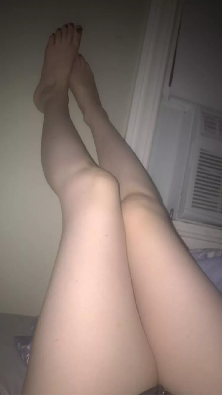 Whoever named the daddy-long-legs spider needs to unpack that in therapy ?