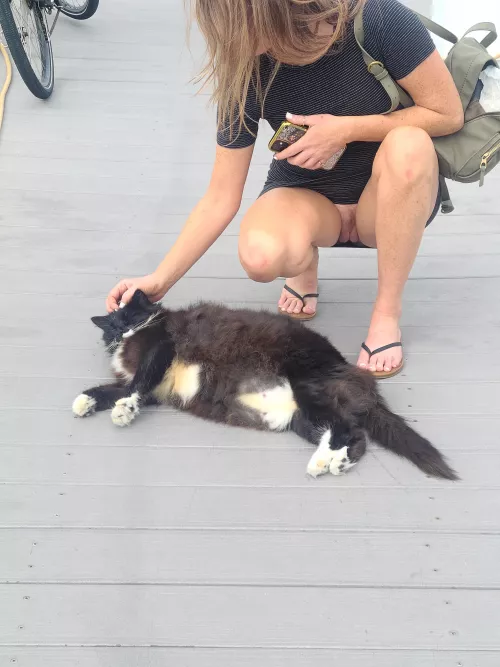 Who's a fan of fat pussy's?