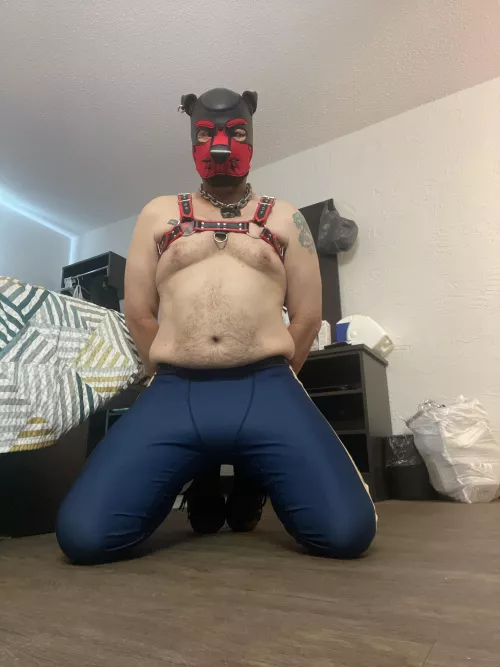 Who’s going to lock this pup up and control him in 2022?