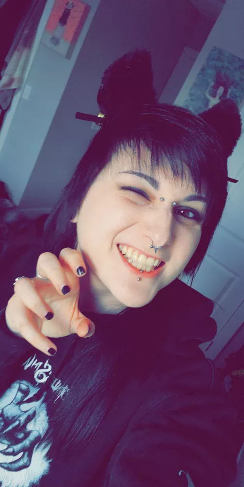 Who's gonna tame this bratty kitten 😽