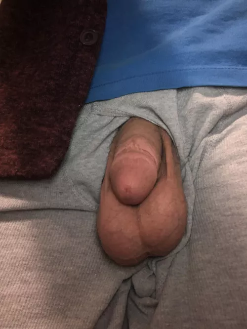 Who’s horny?