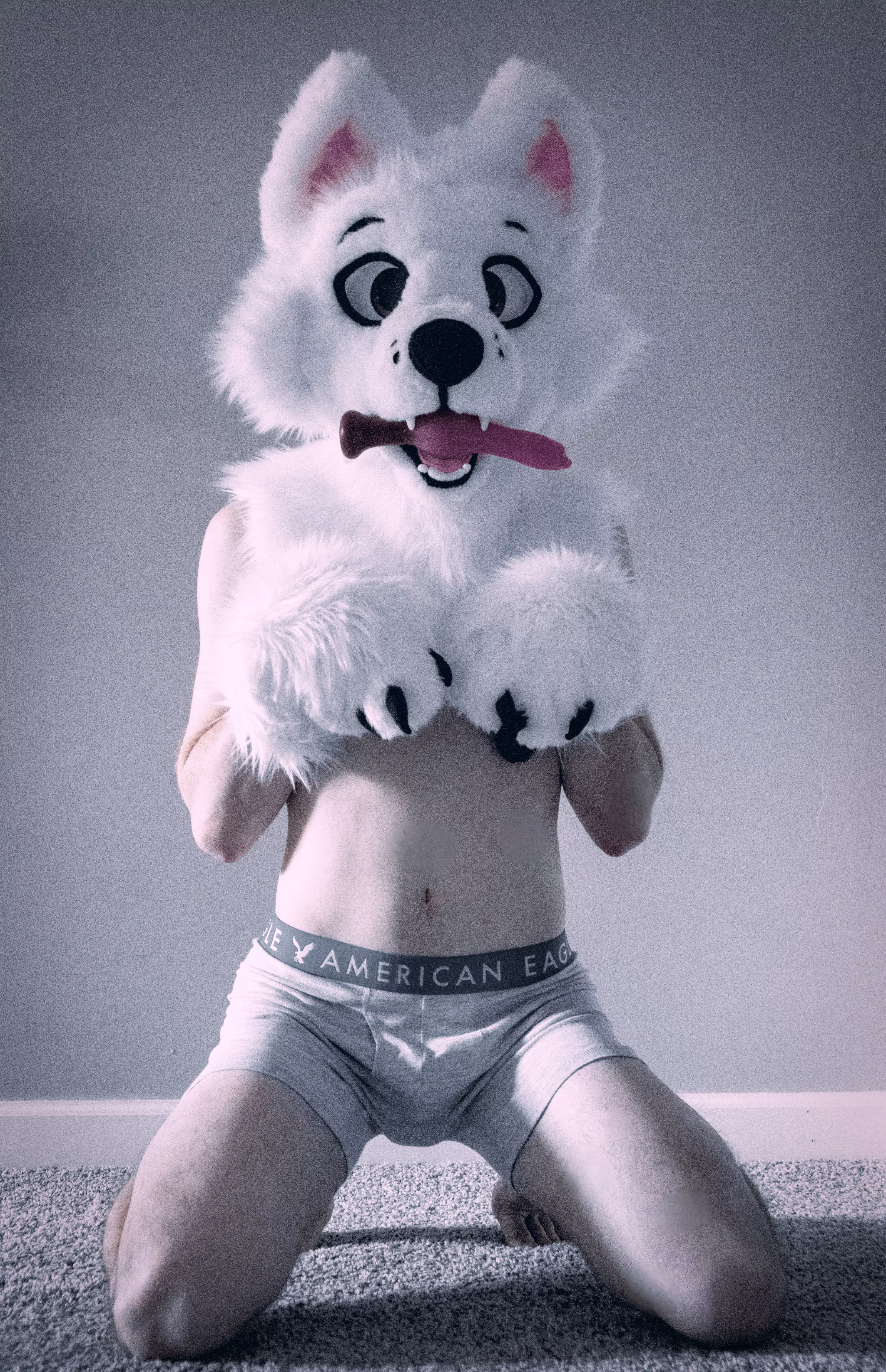 Who's the good boy!? Who's the good boy!?