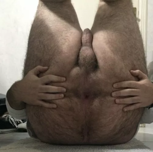 Whoโs up to cum inside my ass? I can be you friendโs cum dump too