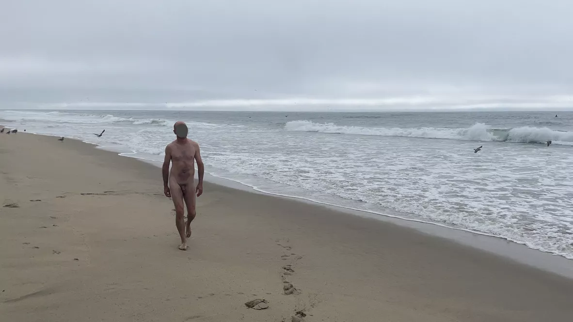Why can't every day be a beach day? Why can't every day be a beach day?